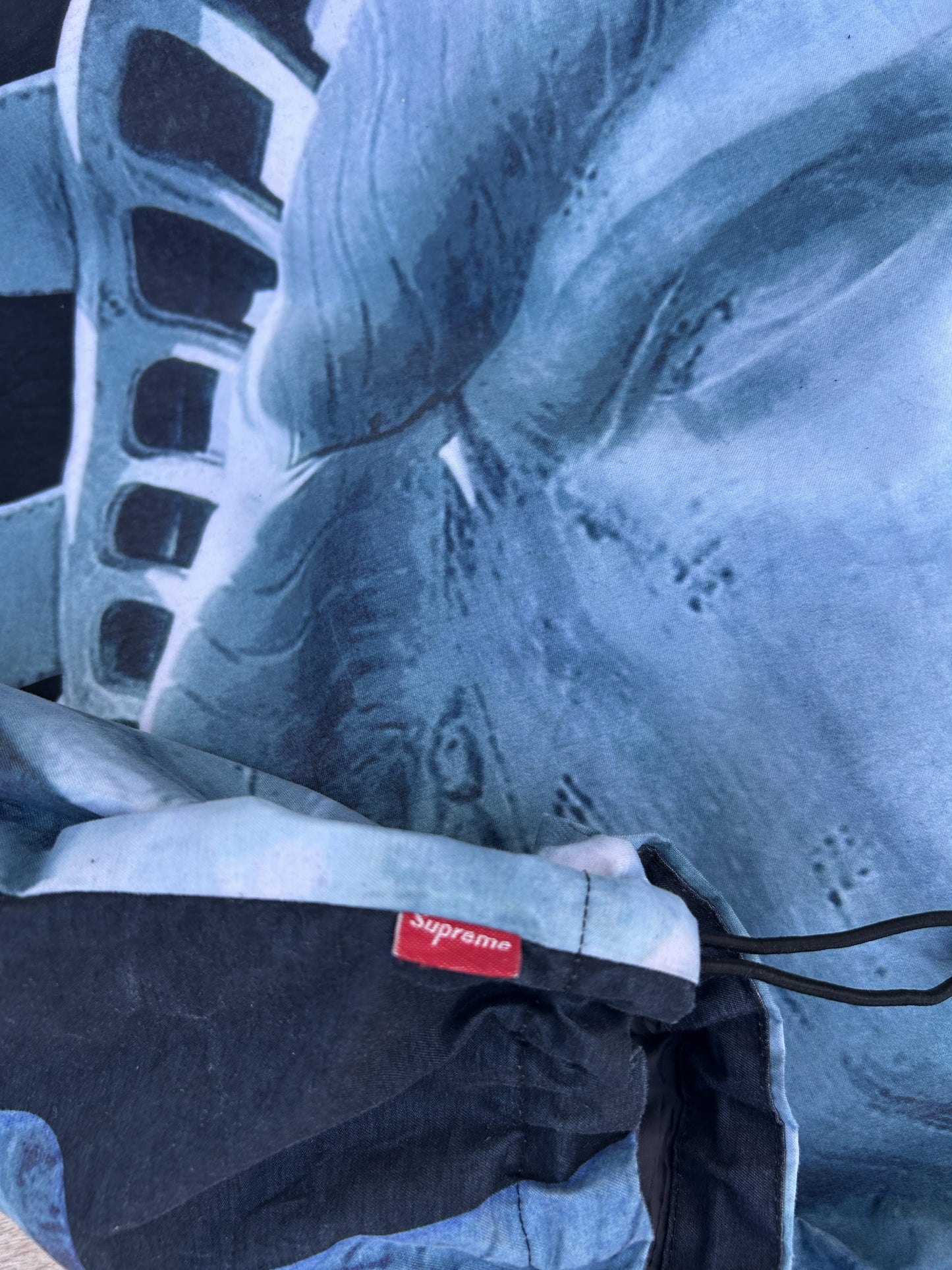 Supreme x TNF Statue of Liberty mountain jacket