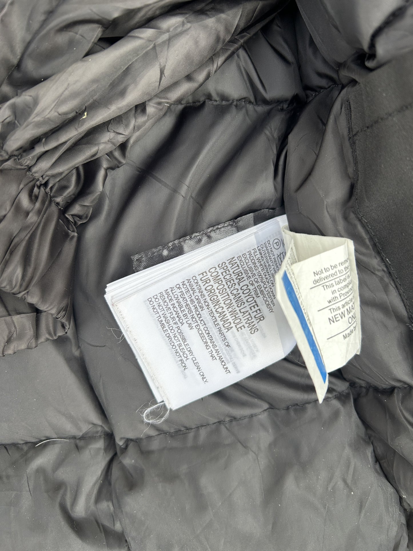 Canada Goose expenditure bomber jacket