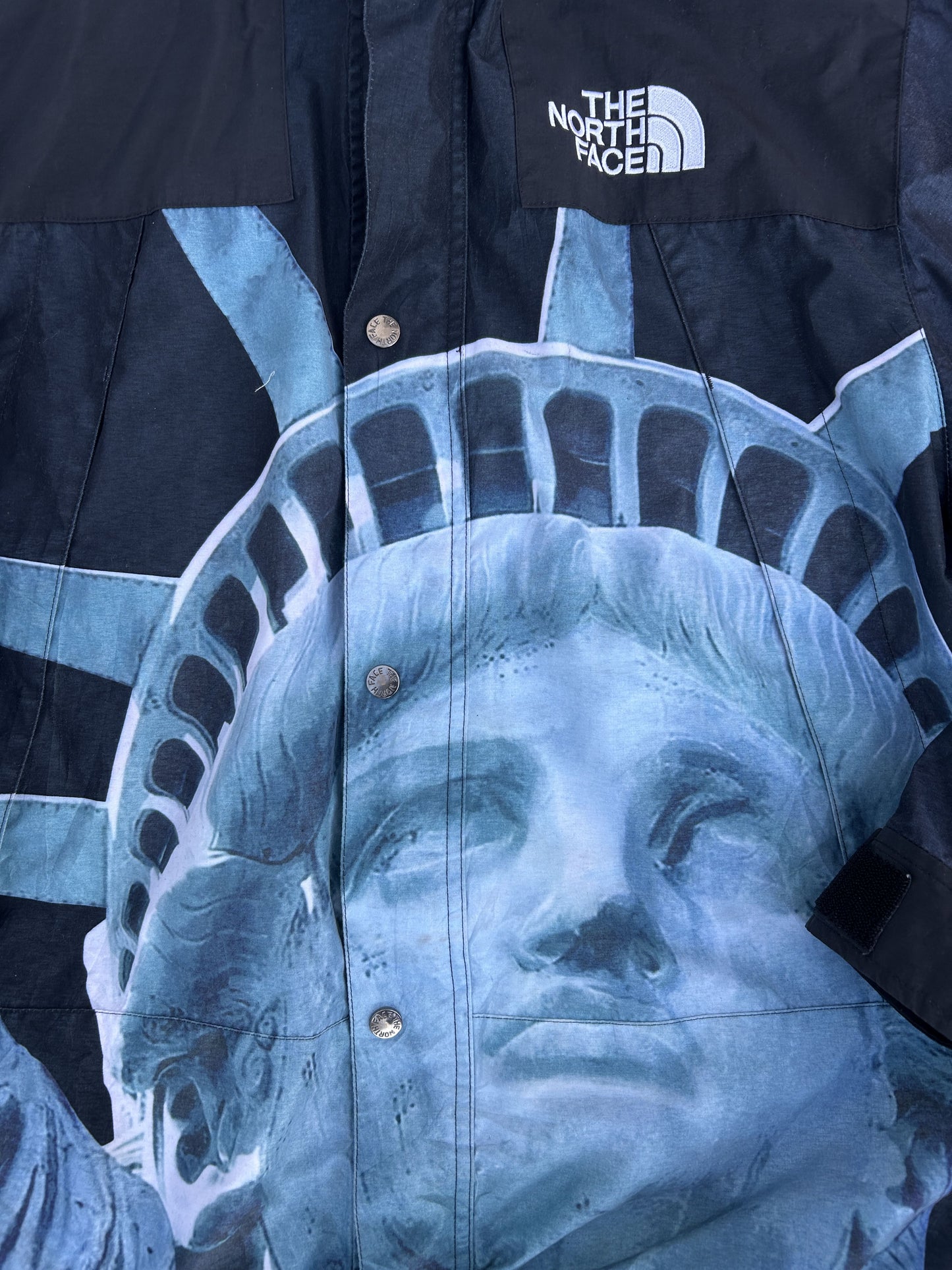 Supreme x TNF Statue of Liberty mountain jacket