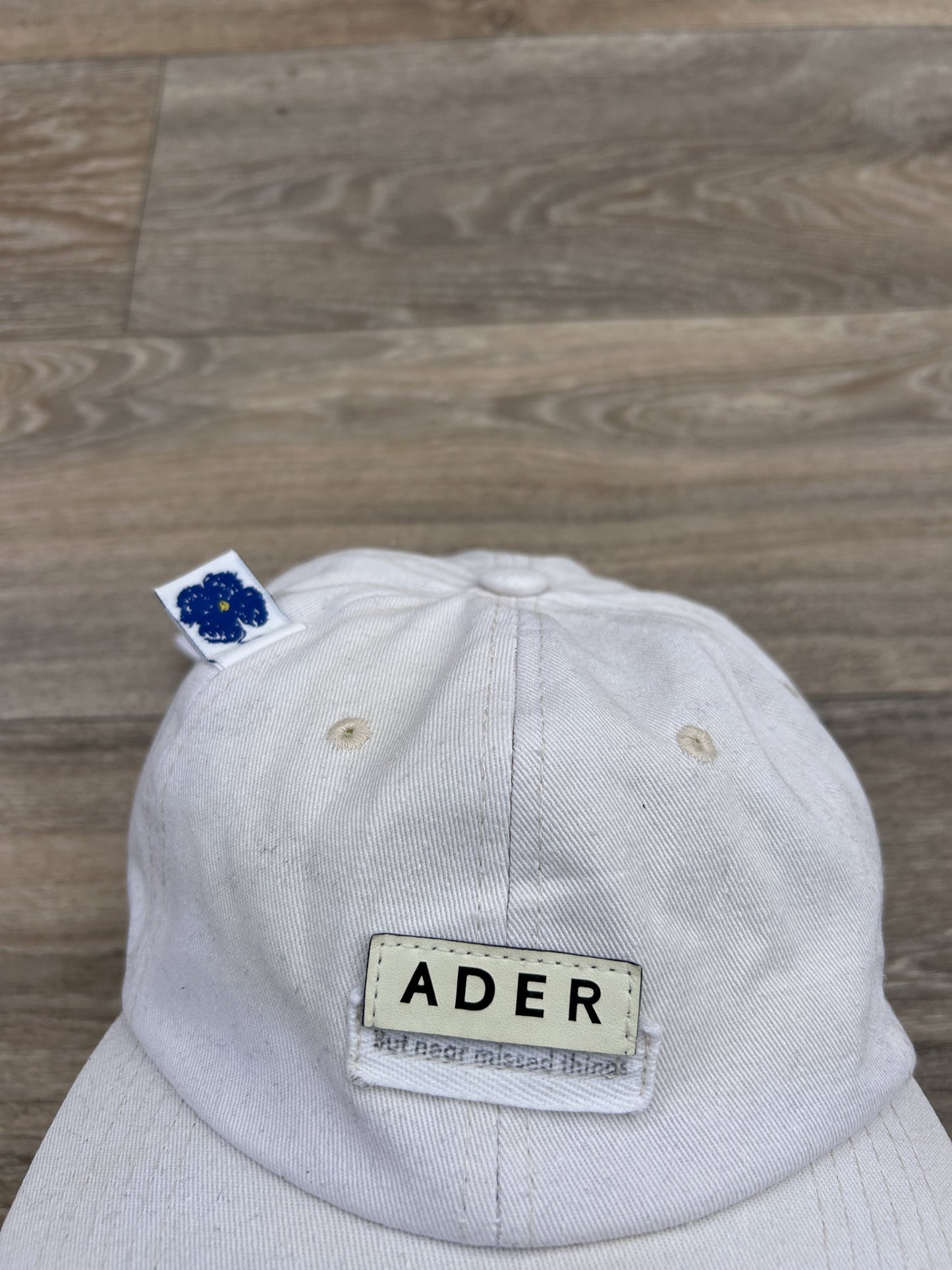 Ader error logo cap